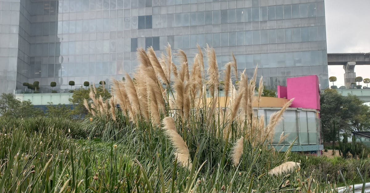 Choosing Energy-Efficient Lighting for Sustainable Garden Offices