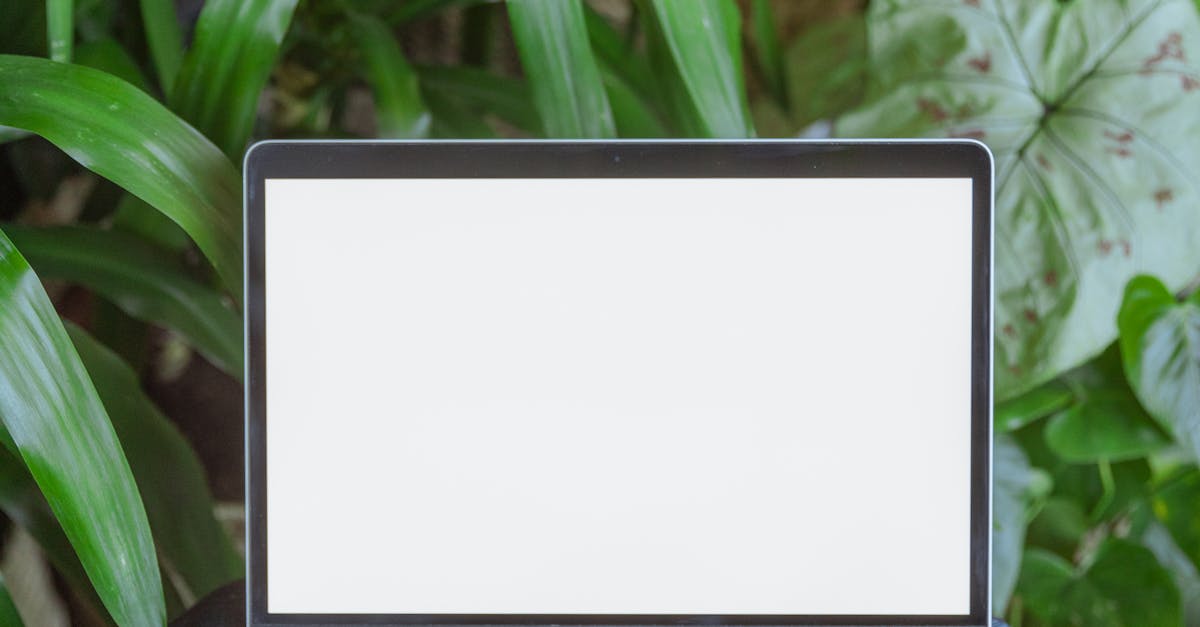 Cost Analysis of Various Insulation Solutions for Garden Offices