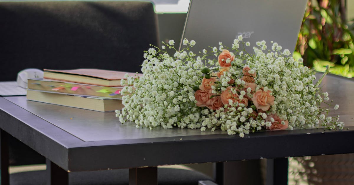 Creating a Distraction-Free Zone in Your Garden Office