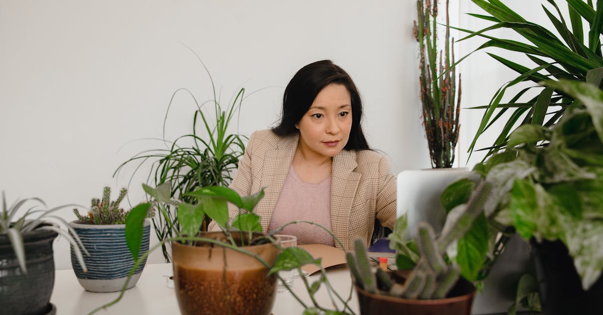 Creating a Productive Atmosphere in Your Garden Office