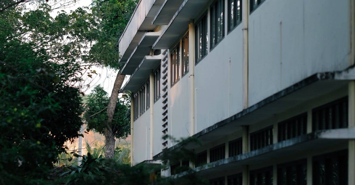 Enhancing Privacy with Strategic Garden Planting