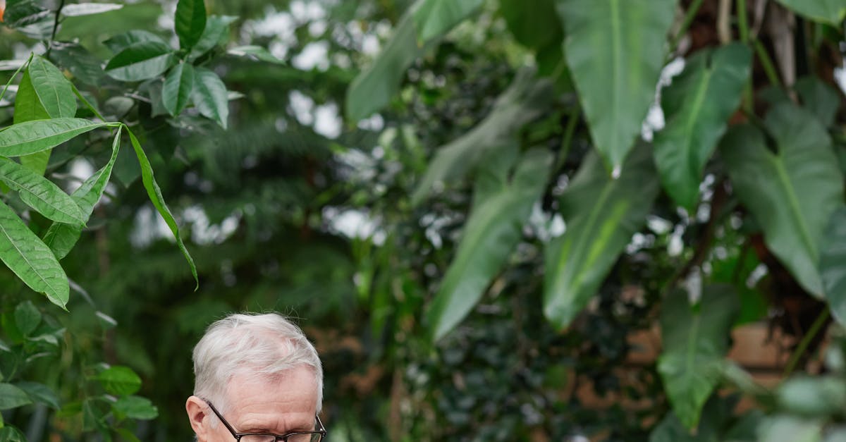 ftCreating an Inviting Outdoor Deck for Your Office Retreat