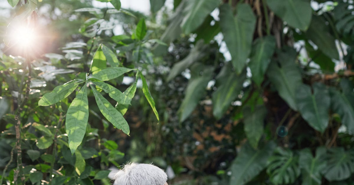 Innovative Lighting Designs for Your Garden Office