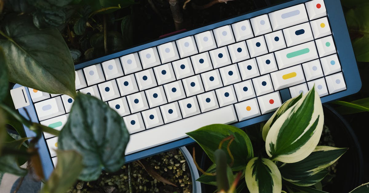 Redefining Functionality: Crafting a Hobby Hub in Your Garden Office