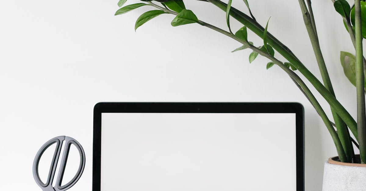 The Best Storage Ideas for a Tidy Garden Office Environment